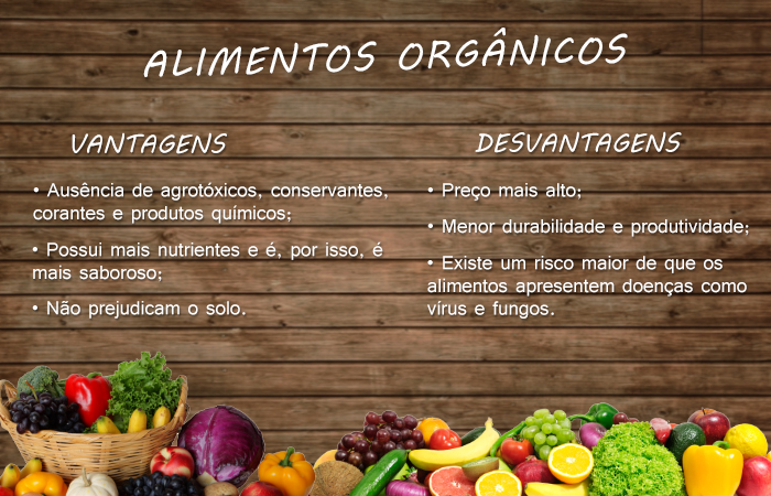 infográfico alimentos orgânicos