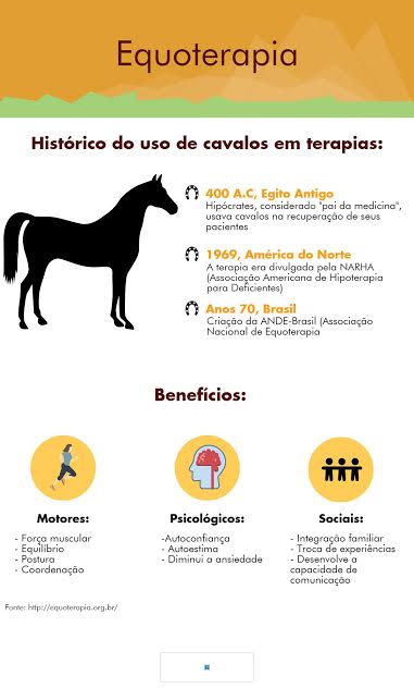 Linda Carta do Cavalo ao Praticante de Equoterapia – Equoideias®