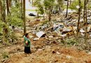 Vale das Palmeiras: famílias sofrem despejo de suas casas e abrigo em São José